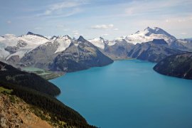 Registrants Provide Suggestions for Organizational Climate Change Strategy