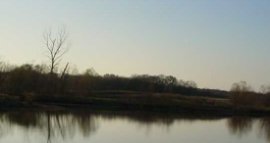 Guidelines Outline Practice Standards for Riparian Area Assessments