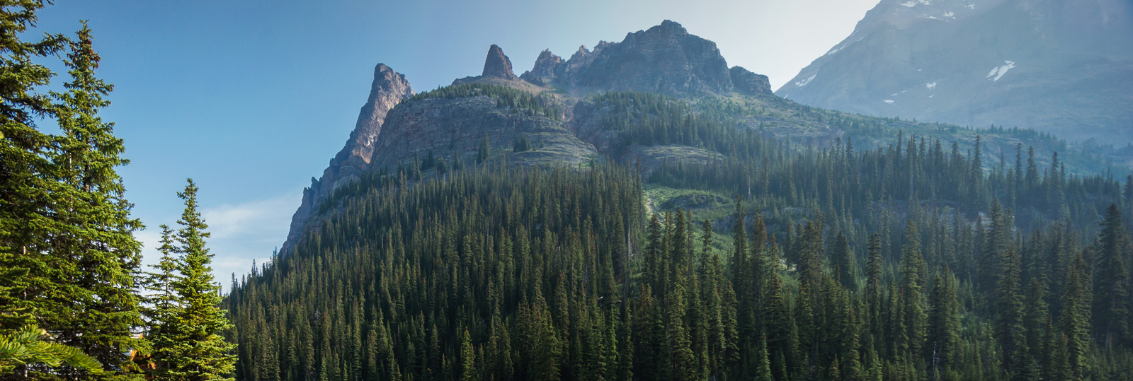 View of a mountain from below with trees in foreground