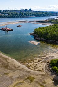 Maplewood Marine Restoration Project, Vancouver Fraser Port Authority