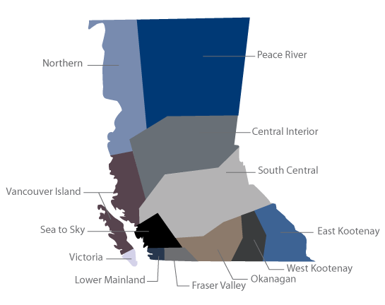 Branches Map